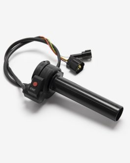 ELECTRIC THROTTLE ASSEMBLY FOR STING